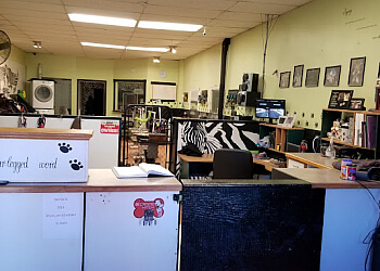 Sault Ste Marie Salons de Toilettage Pour Animaux De Compagnie Doggie Styles Pet Pampering