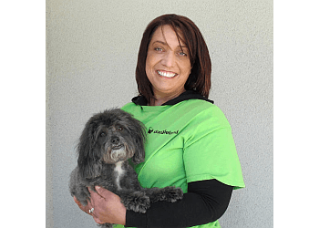 Vaughan dog trainer Doggieland
