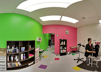Doggy Shop Grooming - Abbotsford, BC Pet Grooming - Service Highlights