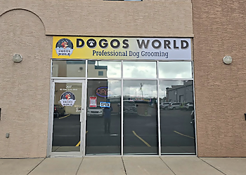 Airdrie Salons de Toilettage Pour Animaux De Compagnie Dogos World Professional Dog Grooming