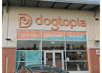 Dogtopia Enterprises
