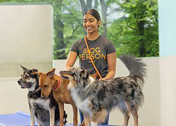 Dogtopia of Milton - Milton, ON Dresseurs De Chiens - Dog Training Session Image