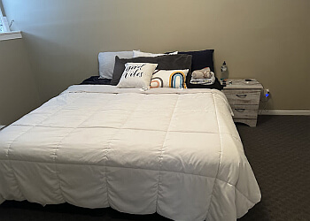 Orangeville commercial cleaning service Domestic Divas Cleaning Co.