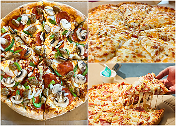 Thunder Bay pizza place Domino's Pizza