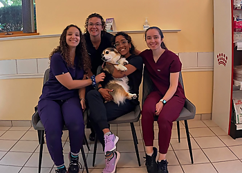 Richmond Hill veterinary clinic Don Head Village Animal Clinic