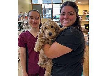 Richmond Hill veterinary clinic Don Head Village Animal Clinic