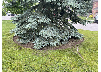 Stouffville lawn care service Dorman Property Services