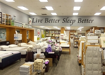 Down Under Bedding & Mattress - Mississauga, ON Mattress Stores - Mattress Image