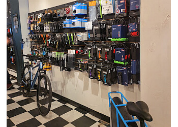 Hamilton bicycle shop Downtown Bike Hounds