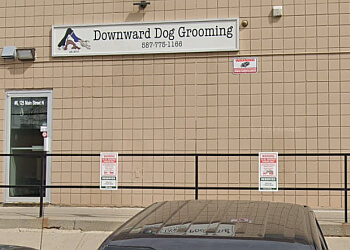 Airdrie pet grooming Downward Dog Grooming image 1