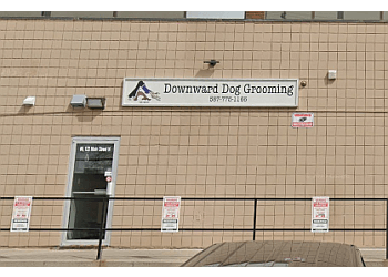 Downward Dog Grooming