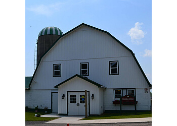 Oshawa Psychologues Dr. Angela Fountain, R. Psych - DR. ANGELA FOUNTAIN & ASSOCIATES