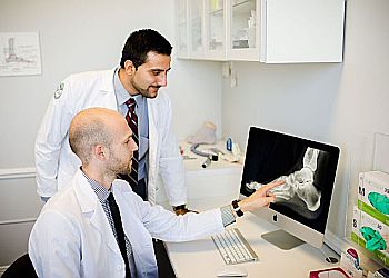 3 Best Podiatrists In Gatineau, QC - Expert Recommendations