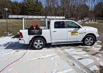 Halton Hills Services d'extermination de parasites Dr. Bug-Urban Pest Control Ltd.