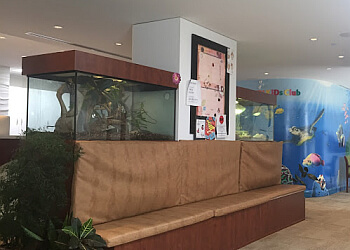 Toronto orthodontist Dr. Geoffrey Newton - GRIN ORTHODONTICS