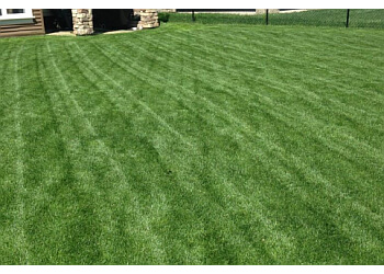 Airdrie Service D'Entretien De Pelouse Dr. Green Services Inc.