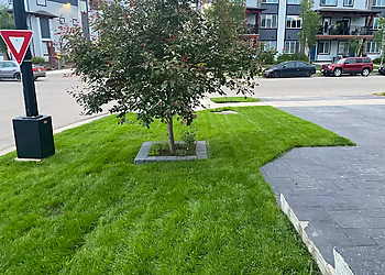 Dr. Green Services Inc. - Edmonton, AB Lawn Care Services - Service Image