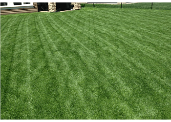 Edmonton Service D'Entretien De Pelouse Dr. Green Services Inc.