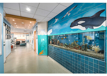 Burnaby children dentist Dr. John Hung - MONARCH PEDIATRIC DENTAL CENTRE