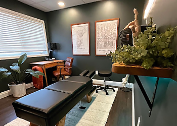 Dr. Paul Rooney, DC - BALANCE CHIROPRACTIC - Thunder Bay, ON Chiropractors - Treatment Room Image