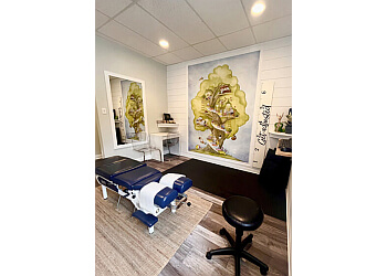 Fredericton Chiropraticiens Dr. Scott Brayall, DC - FREDERICTON FAMILY CHIROPRACTIC