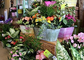 3 Best Florists in Winnipeg, MB - Expert Recommendations