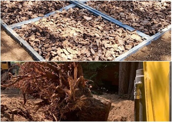 Nanaimo septic tank service Drain Doctors