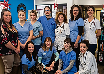 Dre Eve Biron Clinique Vétérinaire - Drummondville, QC Cliniques Vétérinaires - Clinic Interior Image