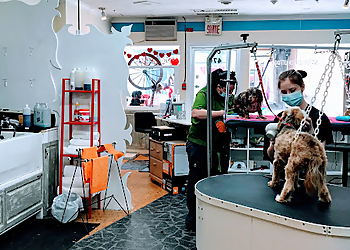 Saint Hyacinthe pet grooming Du Toilettage O'Fil