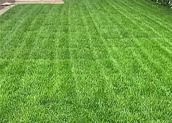 Thunder Bay Paysagistes Duchesne's Services