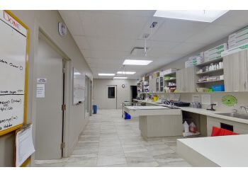 Hamilton veterinary clinic East Mountain Animal Hospital