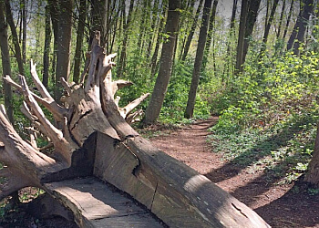 Vancouver hiking trail Everett Crowley Park