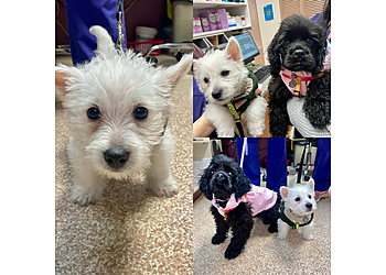 Coquitlam veterinary clinic Eagle Ridge Animal and Bird Hospital