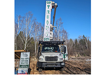 North Bay tree service Eagle Tree & Landscaping Services