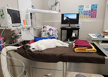 Ottawa veterinary clinic Eagleson Veterinary Clinic