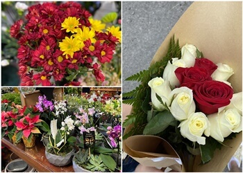 Peterborough florist East City Flower Shop