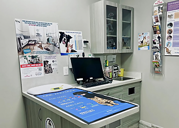 East Mountain Animal Hospital - Hamilton, ON Cliniques Vétérinaires - Medical Procedure Image