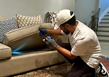 Eco Pest Control - Caledon, ON Pest Control - Pest Inspection Image