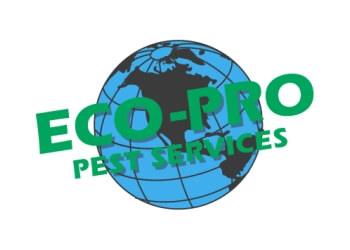 Norfolk pest control Eco-Pro Pest Services