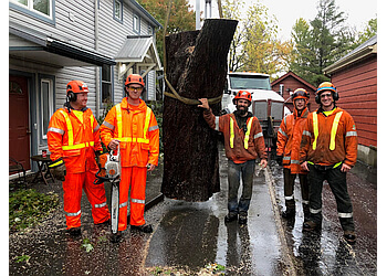 Kingston Services d'arboriculteur Eco Tree Care Inc.