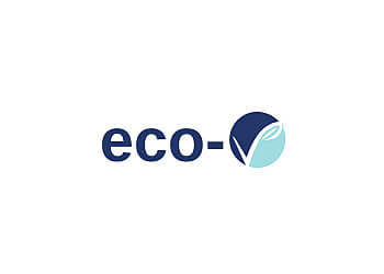 Eco-V Cleaning Services