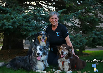 Educ O Poils - Drummondville, QC Dog Trainers - Dog Trainer Image