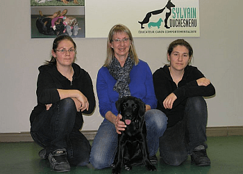 Terrebonne Dresseurs De Chiens Sylvain Duchesneau-Éducateur Canin Comportementaliste