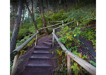 Calgary Sentiers De Randonnée Edworthy Park