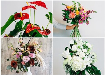 Coquitlam florist Elderberry Floral