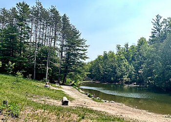 Stouffville hiking trail Eldred King Woodlands