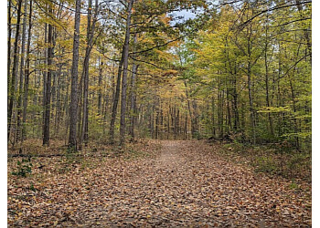 Stouffville hiking trail Eldred King Woodlands