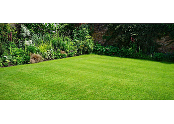 New Westminster lawn care service Electric Lawn Care LTD.