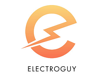 ElectroGuy