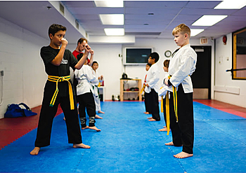 Calgary Arts Martiaux Element Martial Arts Inc.